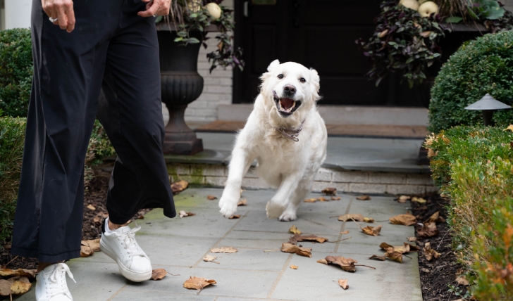 健康的なお口環境へ